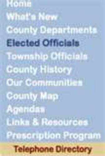 Elected Officials on blue background in dark blue font