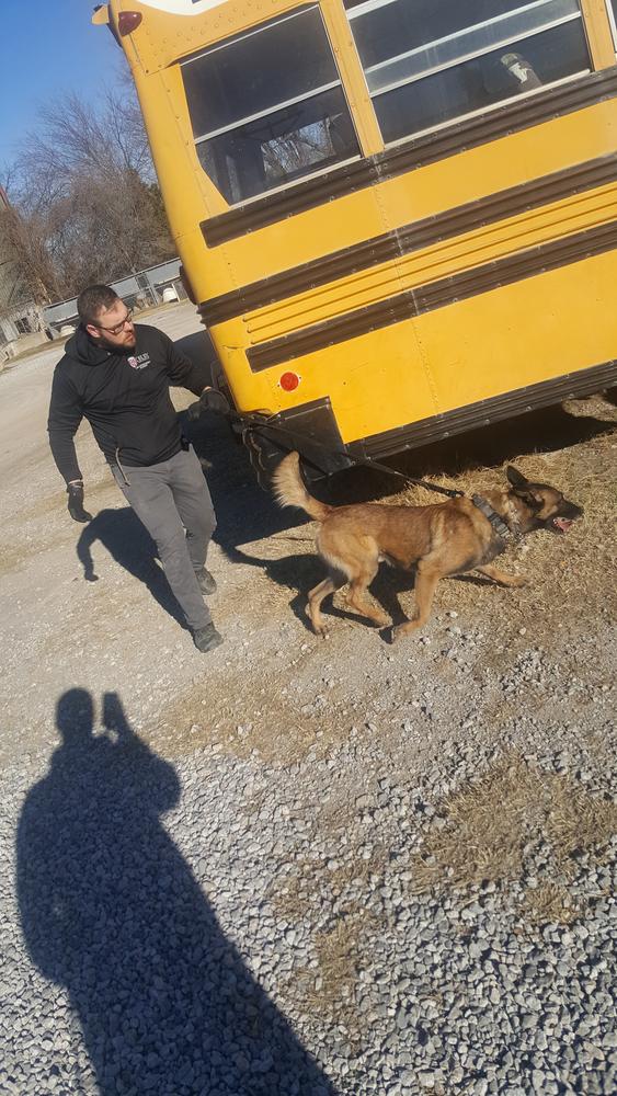 zaki next to school bus