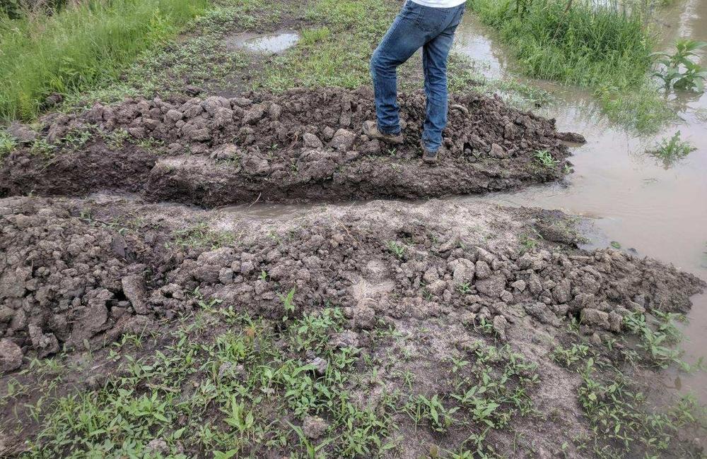 intentional damage to levee