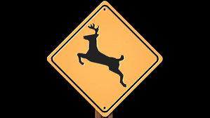 modot deer crossing