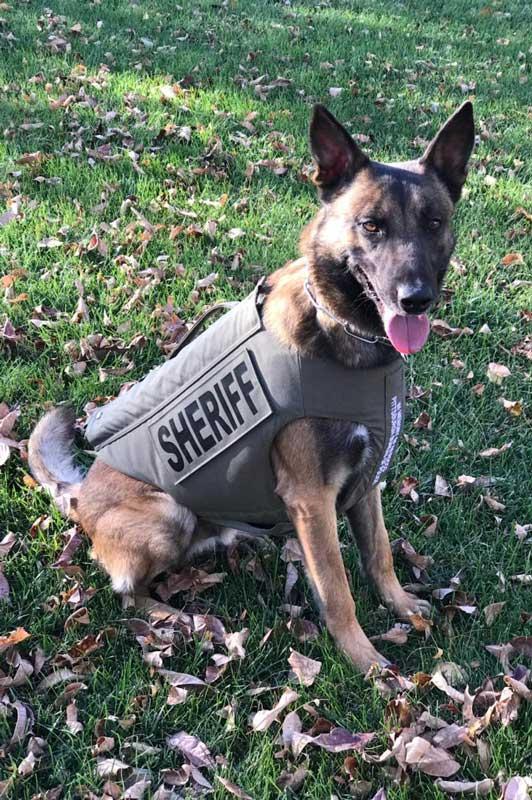 K-9 Deputy Zaki