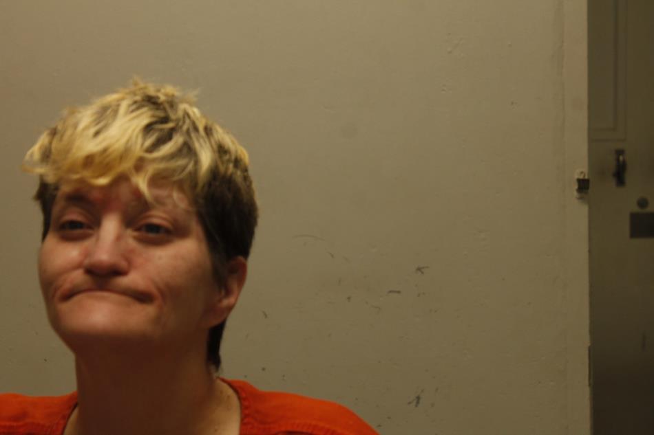 Primary photo of Julie Ann McLean - Please refer to the physical description