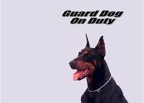 Guard Dog Doberman