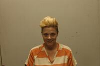Mugshot of Hershey, Cheyenne Daniel