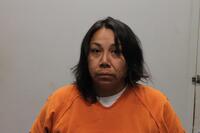 Mugshot of Irving, Nicole Marie