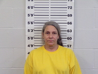 Mugshot of Brandes, Kimberly Suzanne