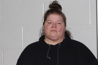 Mugshot of Howe, Nicki Dawn