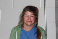Mugshot of Noble, Christie Ann
