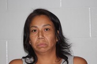 Mugshot of Irving, Nicole Marie
